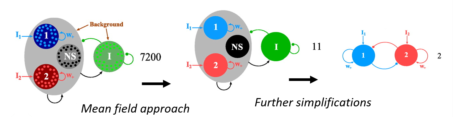 Wong-Wang reduction. Edited from Wong &amp; Wang, (2006)